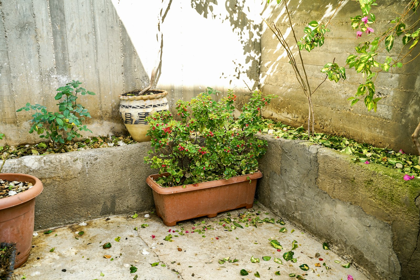 Patio Resurfacing vs Replacement: 2026 Cost Comparison